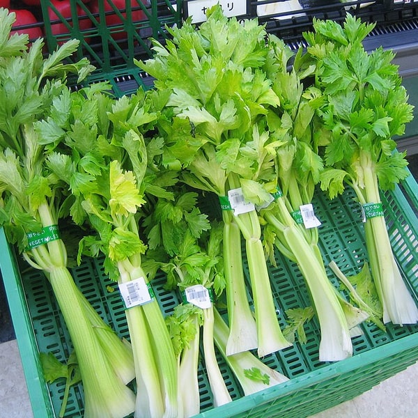 Celery Seed