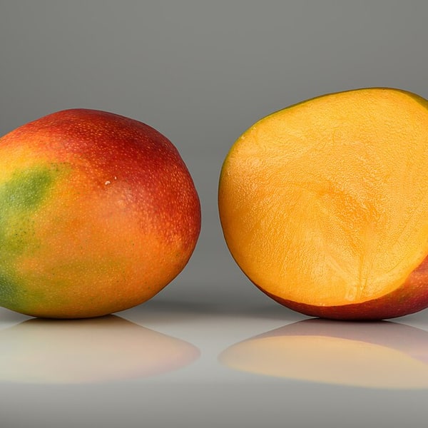 Mango Seed for planting
