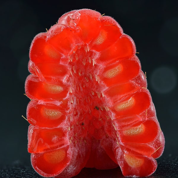 Raspberry Seed