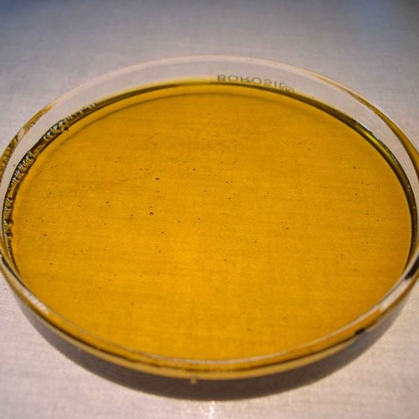 Neem Seed
