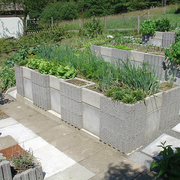 Terrace Garden Seed Mix